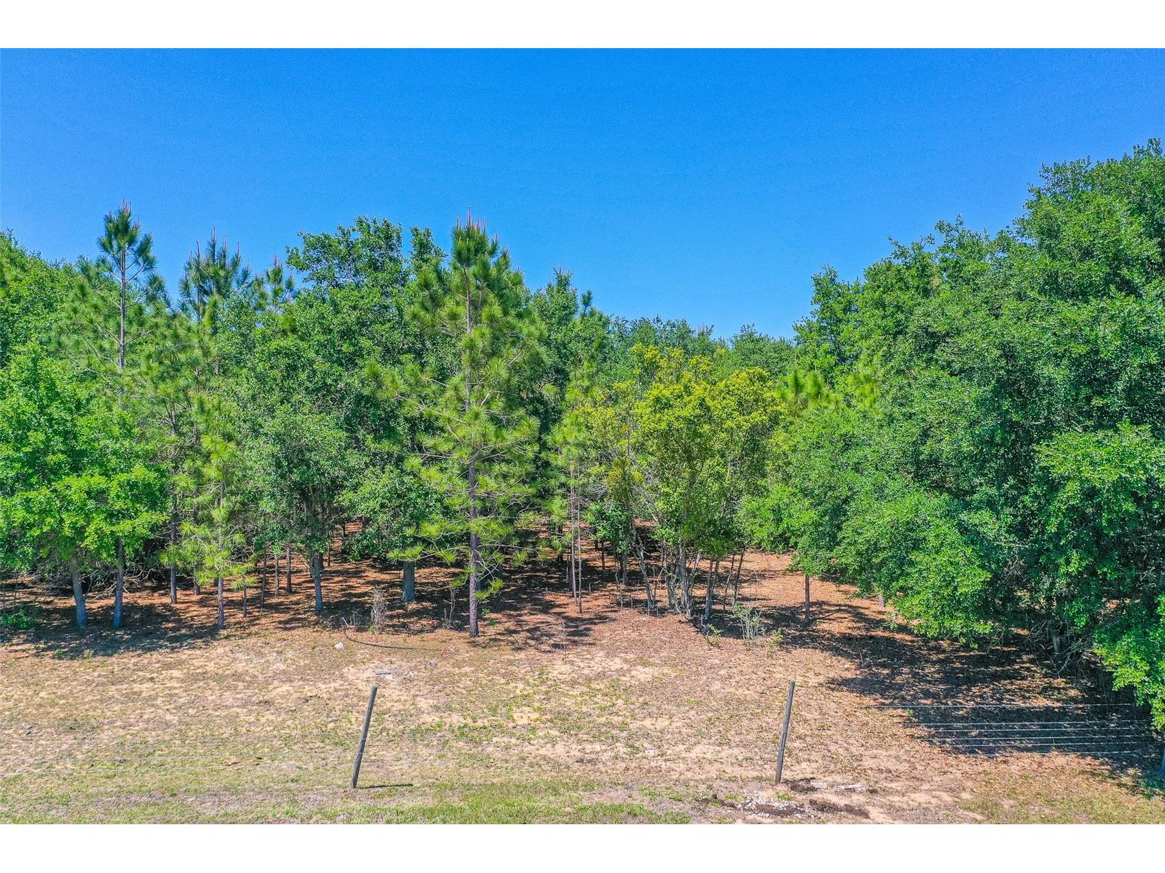 107 Edgewood Boulevard Lake Wales FL 33898 L4961087 image31
