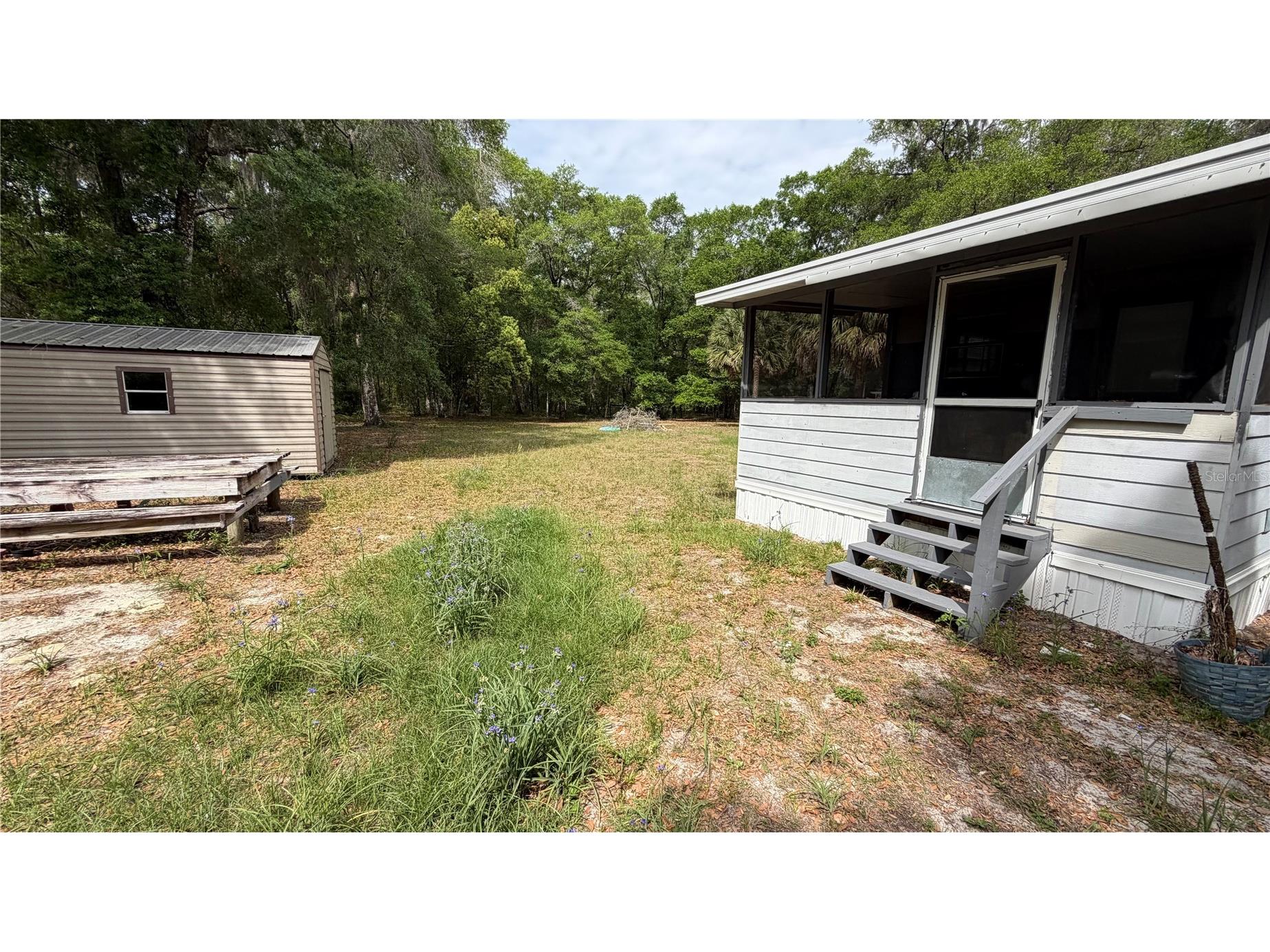 107 Eliam Road Melrose FL 32666 P4938387 image13