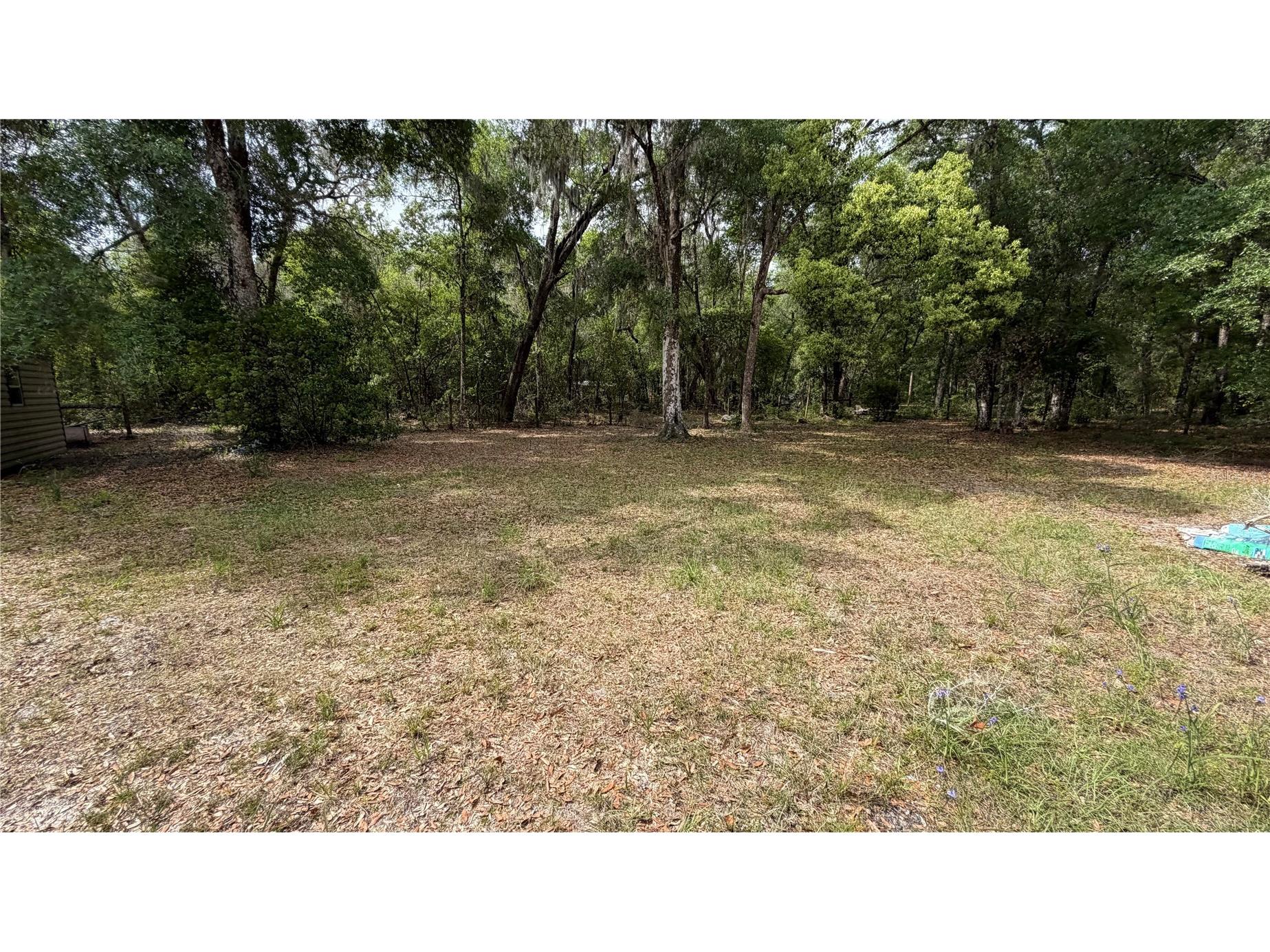 107 Eliam Road Melrose FL 32666 P4938387 image37