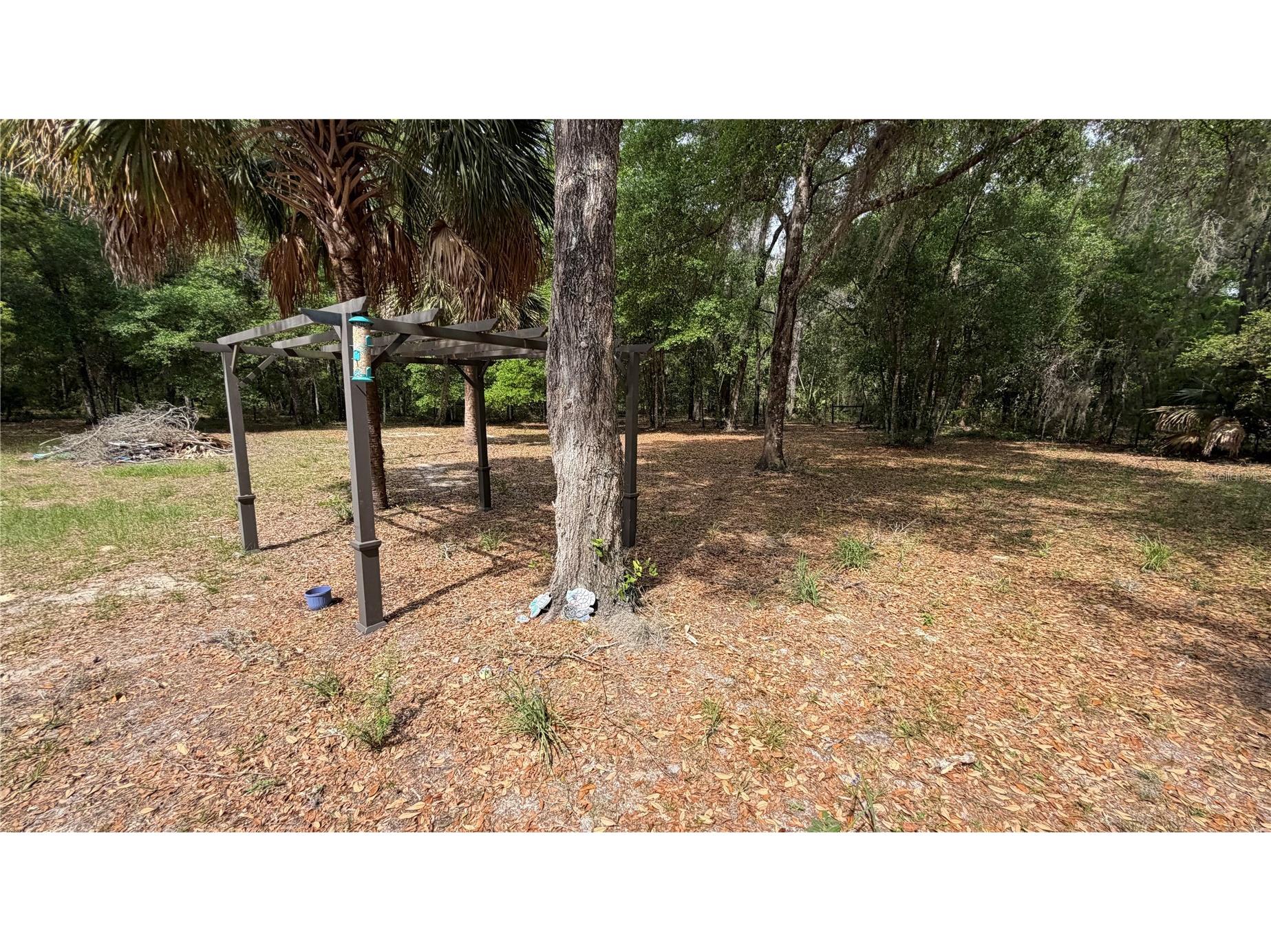 107 Eliam Road Melrose FL 32666 P4938387 image40