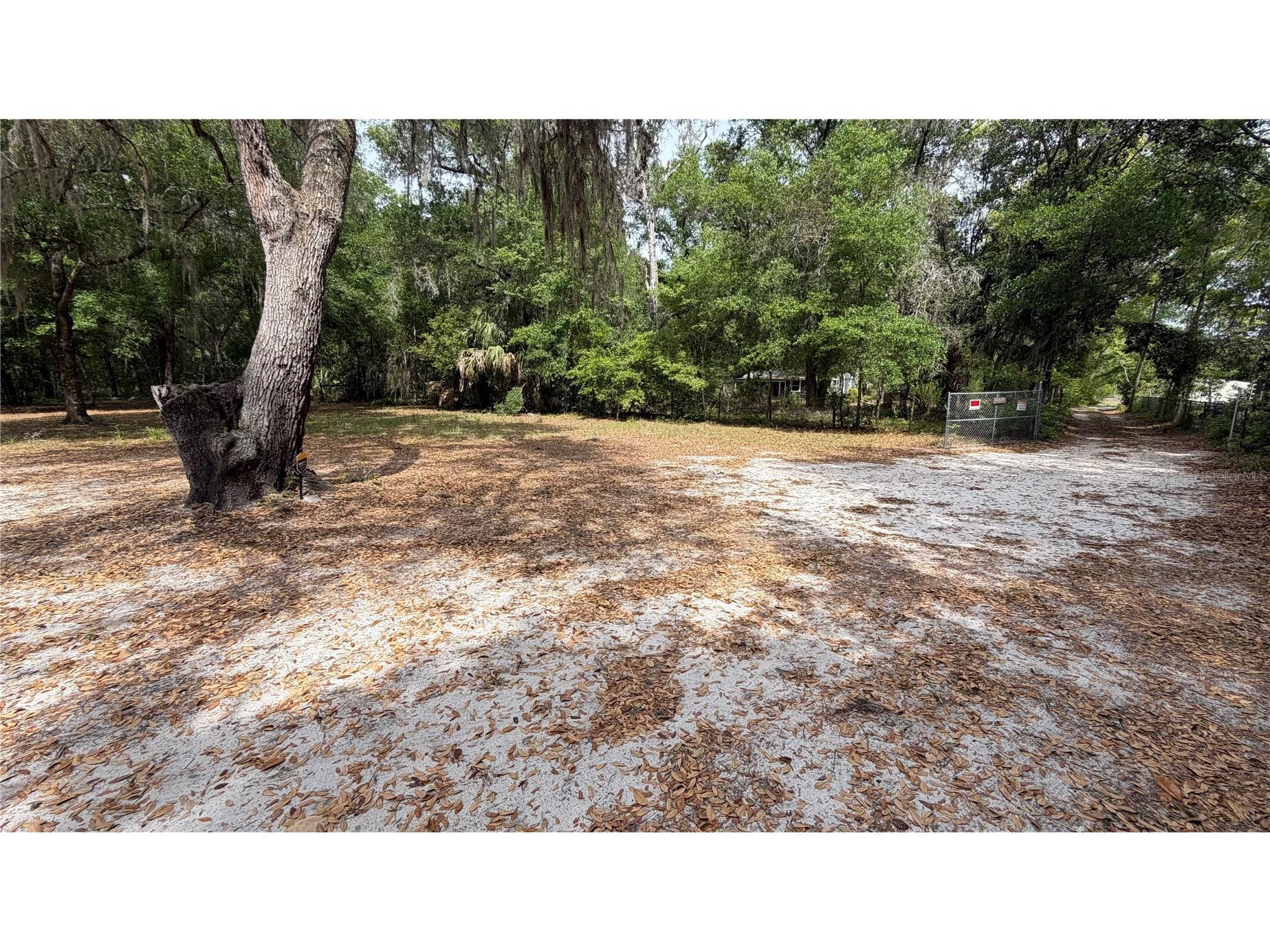 107 Eliam Road Melrose FL 32666 P4938387 image41