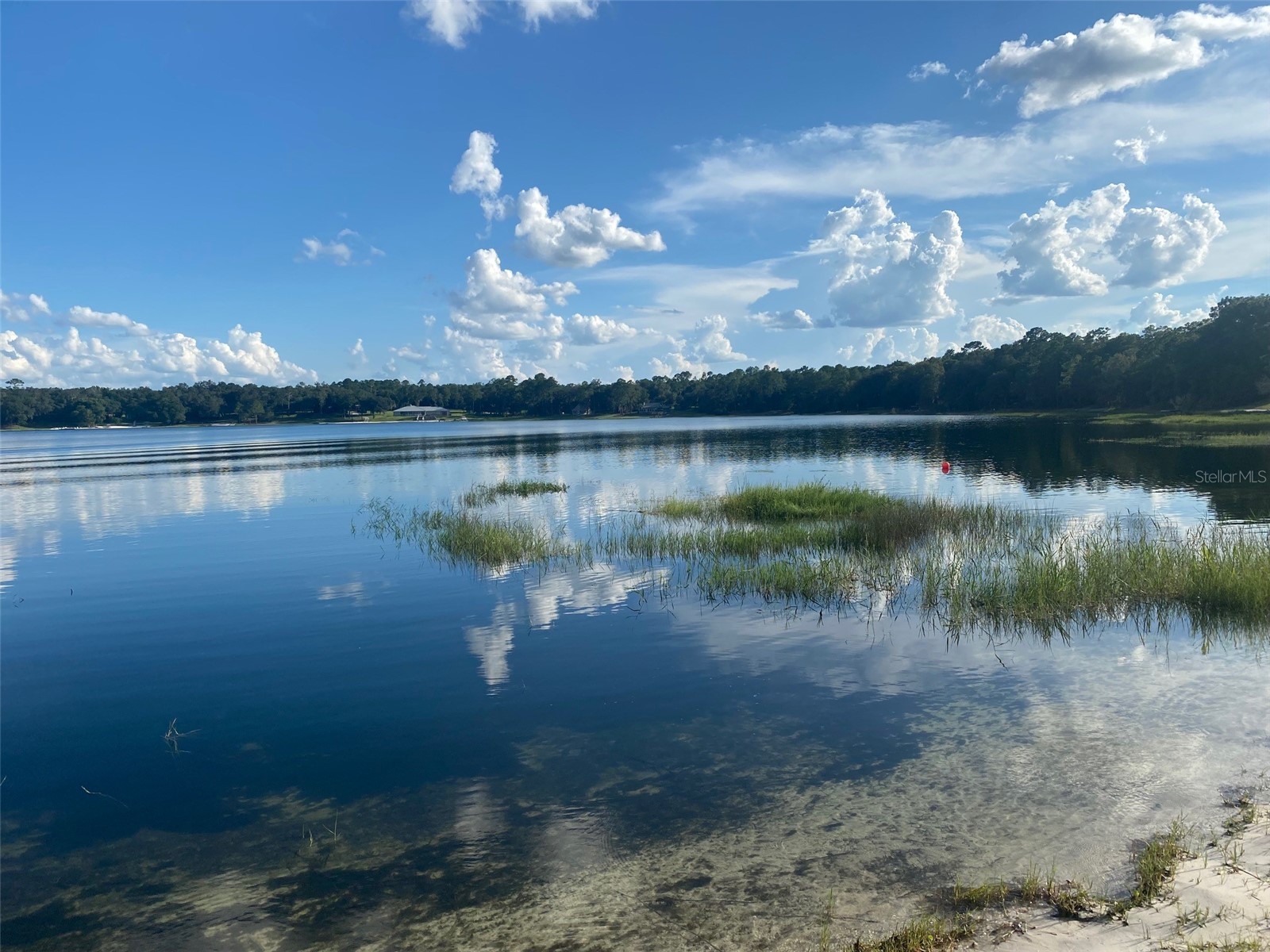 107 Eliam Road Melrose FL 32666 P4938387 image44