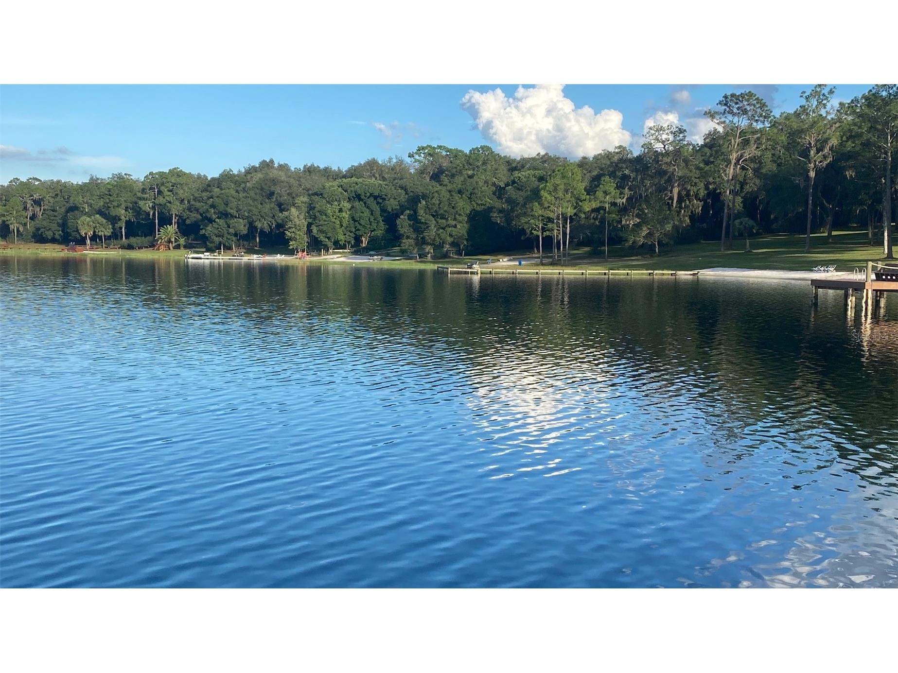 107 Eliam Road Melrose FL 32666 P4938387 image45