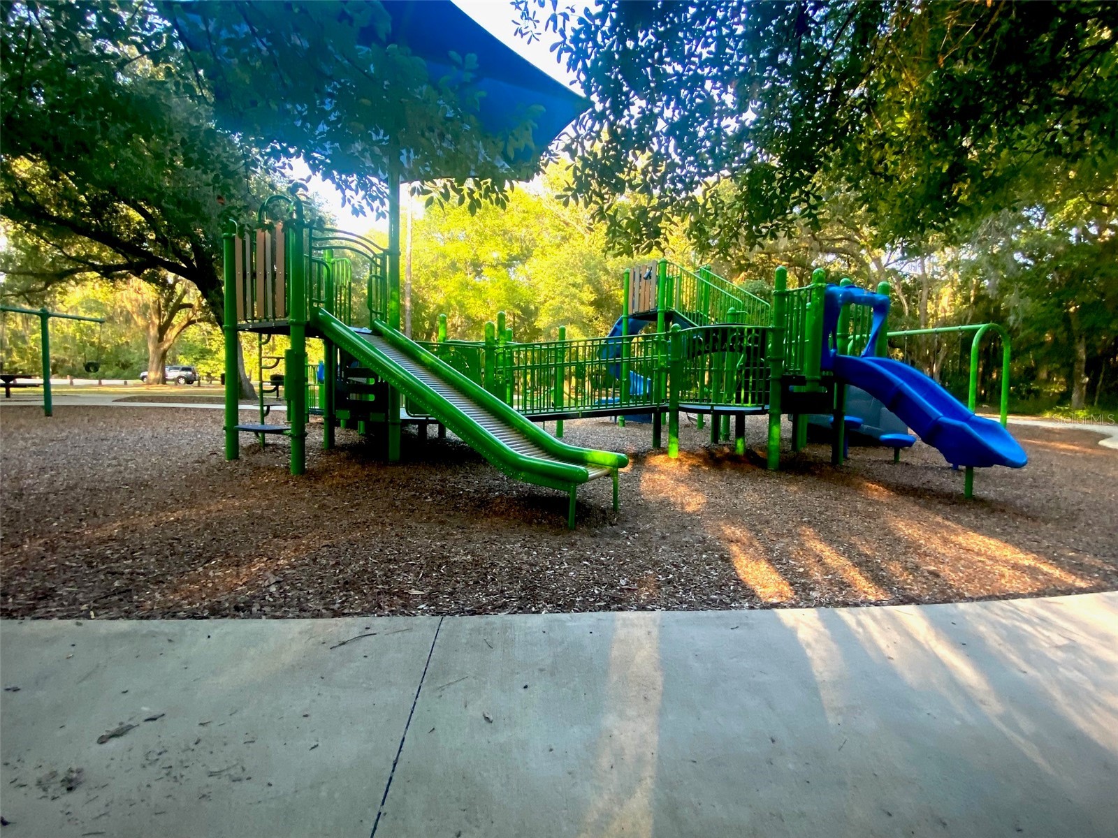 107 Eliam Road Melrose FL 32666 P4938387 image65