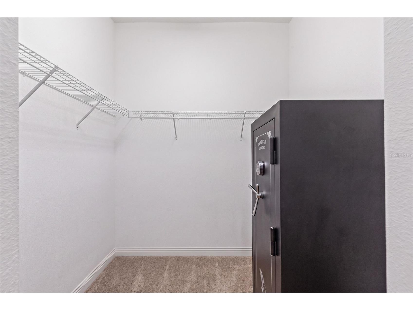 107 Elina Sky Drive Seffner FL 33584 TB8508799 image15