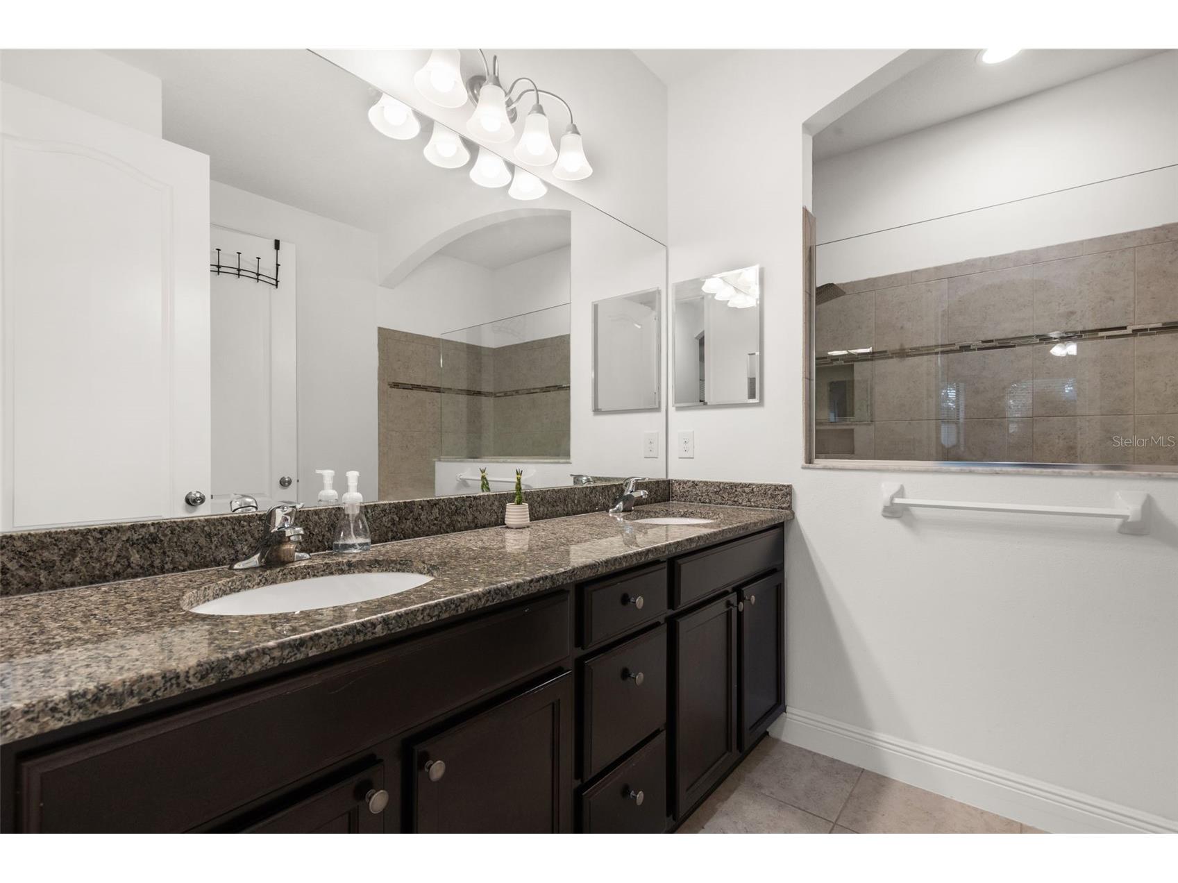 107 Elina Sky Drive Seffner FL 33584 TB8508799 image16