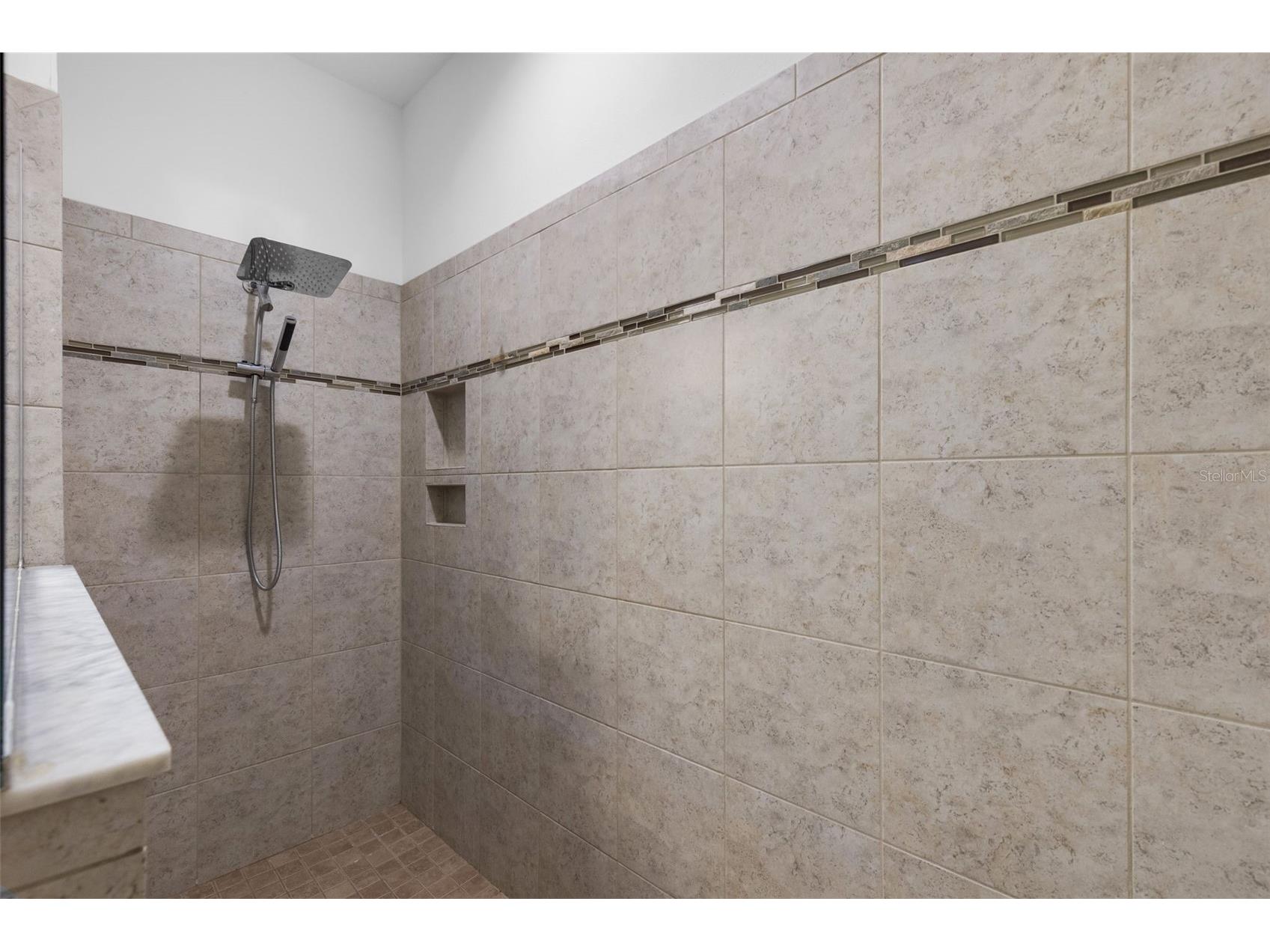 107 Elina Sky Drive Seffner FL 33584 TB8508799 image18