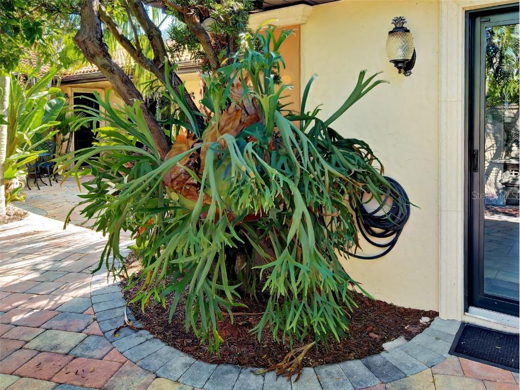 107 Free Court SE Port Charlotte FL 33952 - EDGEWATER LAKE N6141169 image45