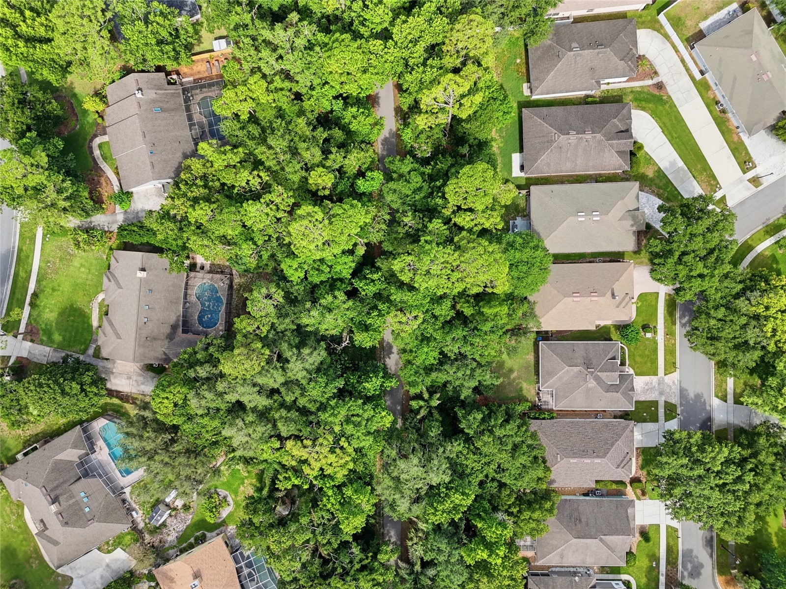 107 Golden Crest Court Winter Springs FL 32708 O6393850 image35