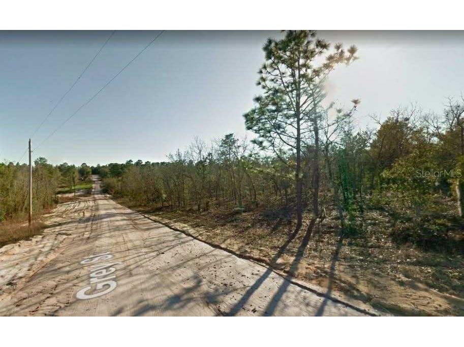 107 Grey Street Interlachen FL 32148 A4642991 image1