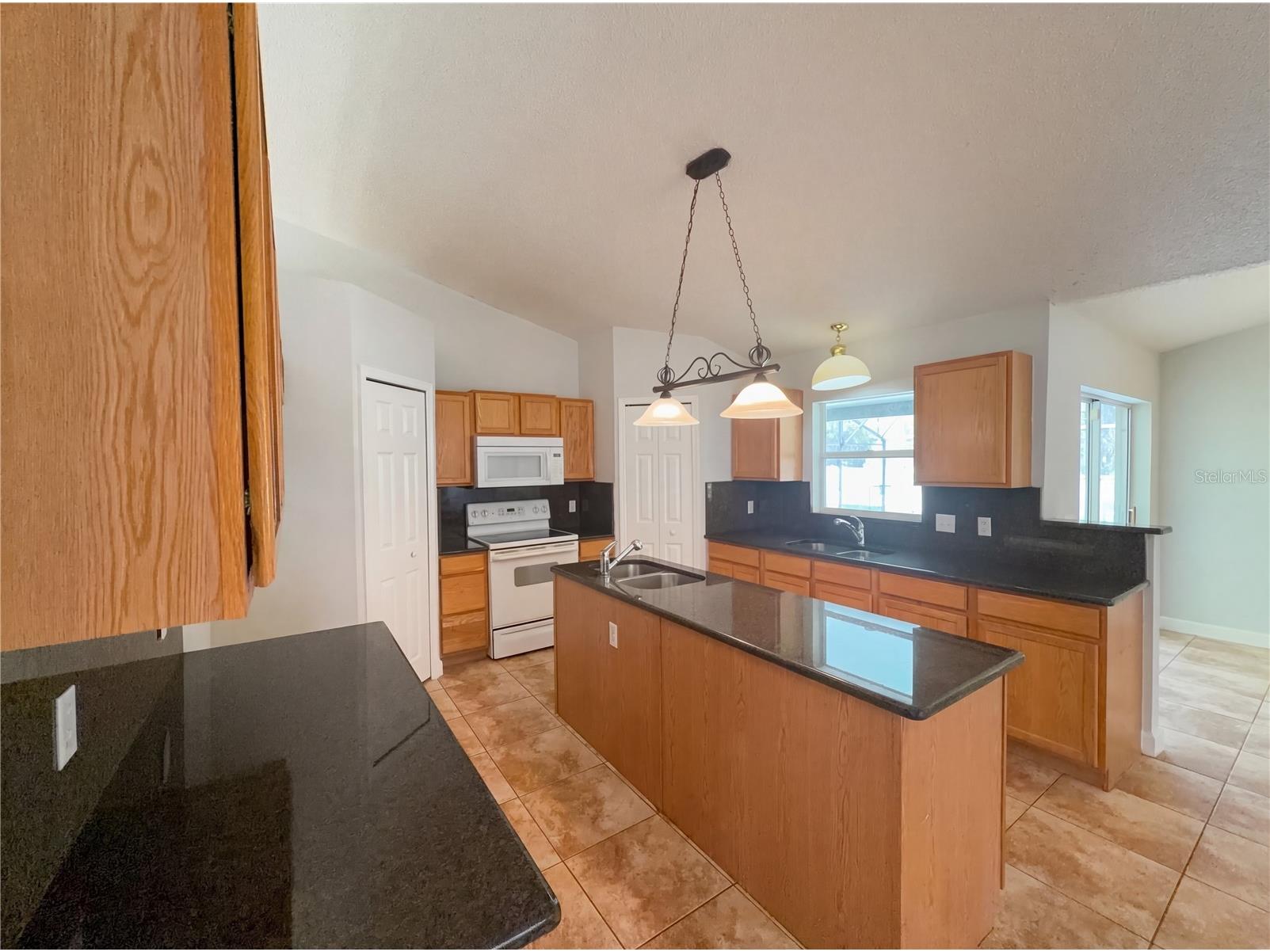 107 Herring Way Kissimmee FL 34759 O6390402 image9