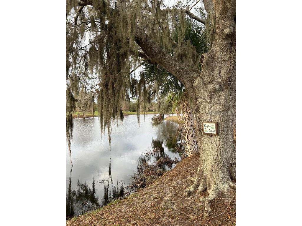 107 Hibiscus Drive Indian Lake Estates FL 33855 TB8352279 image4