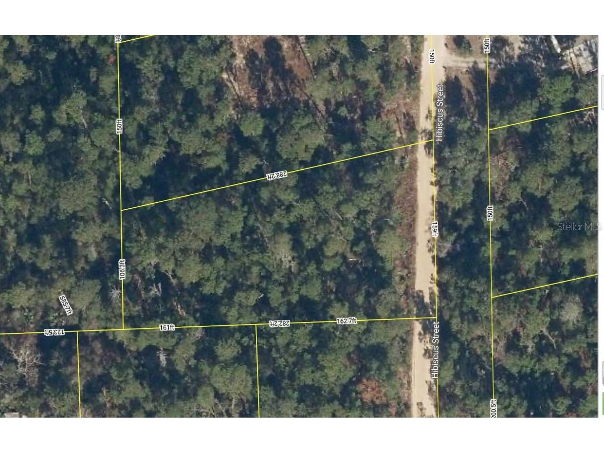 107 Hibiscus Street Pomona Park FL 32181 G5098262 image1