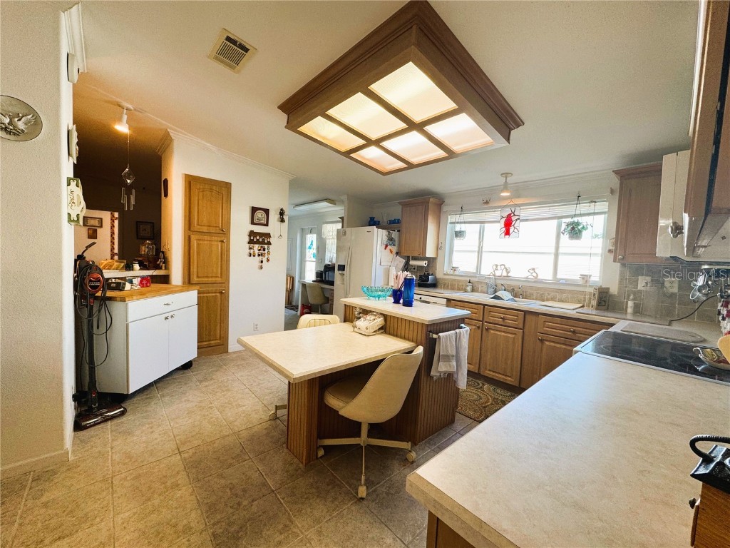 107 Hibiscus Way Leesburg FL 34748 R4910347 image19