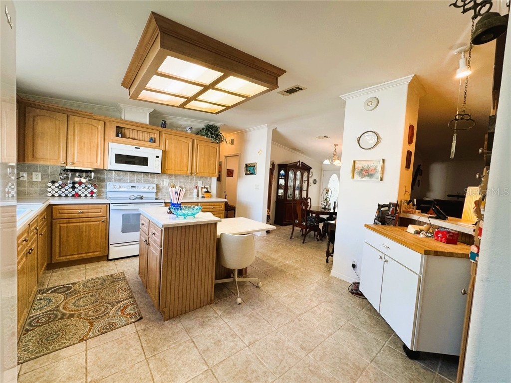 107 Hibiscus Way Leesburg FL 34748 R4910347 image21