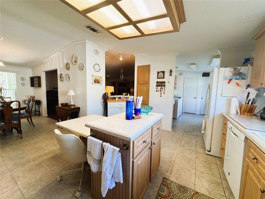 107 Hibiscus Way Leesburg FL 34748 R4910347 image23