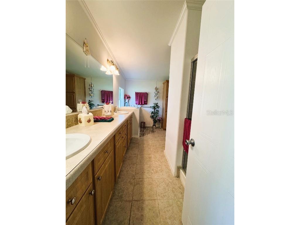 107 Hibiscus Way Leesburg FL 34748 R4910347 image45