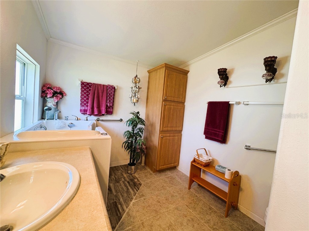 107 Hibiscus Way Leesburg FL 34748 R4910347 image49