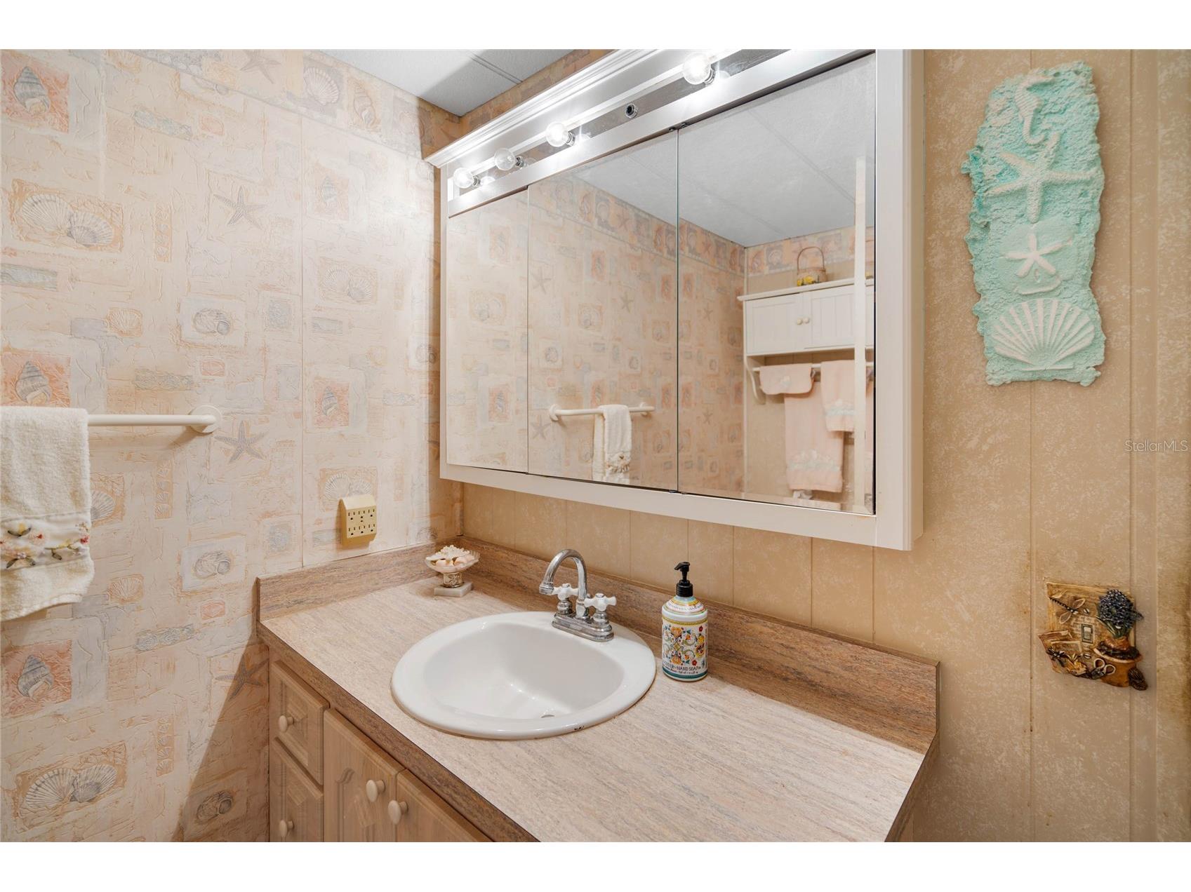 107 Holiday Lane Auburndale FL 33823 - LAKE ARIANA AND LAKE ARIETTA P4936568 image21