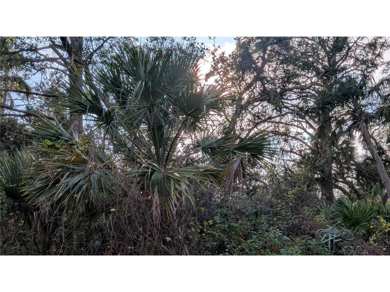 107 Juper Street Port Charlotte FL 33953 D6140016 image4