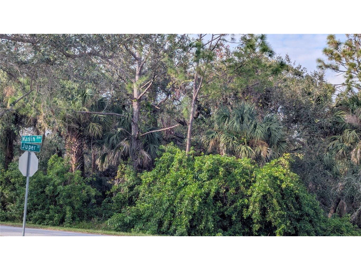 107 Juper Street Port Charlotte FL 33953 D6140016 image5