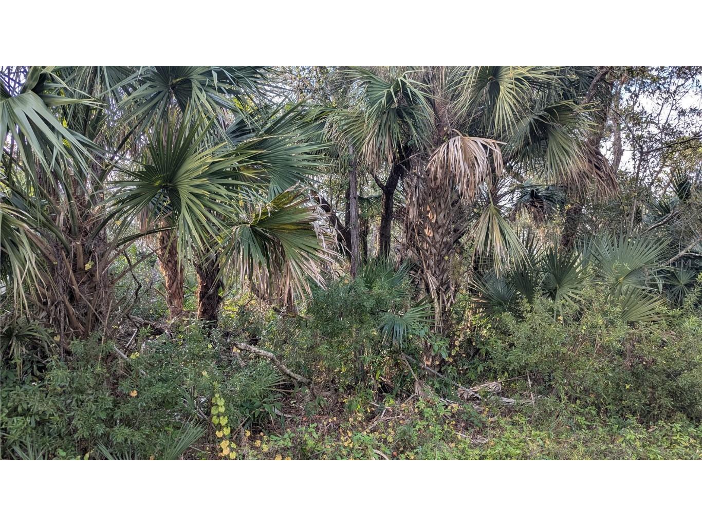 107 Juper Street Port Charlotte FL 33953 D6140016 image7