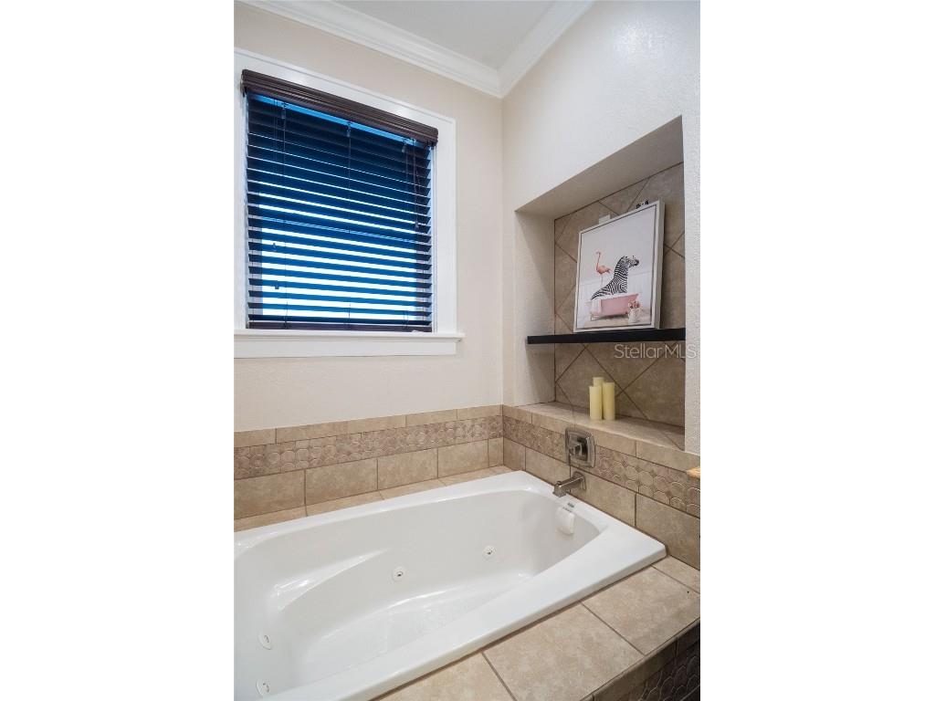 107 Lake Howard Drive NW Winter Haven FL 33880 - LAKE HOWARD L4957484 image23