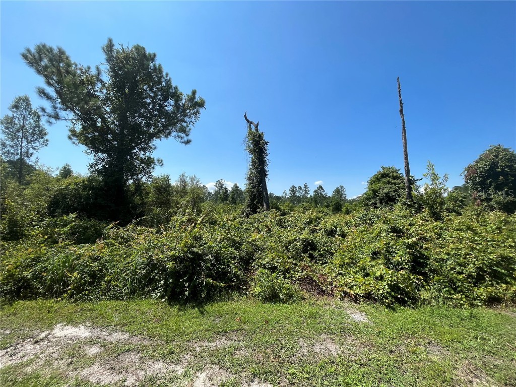 107 Lake Margaret Boulevard Pomona Park FL 32181 OK222998 image1