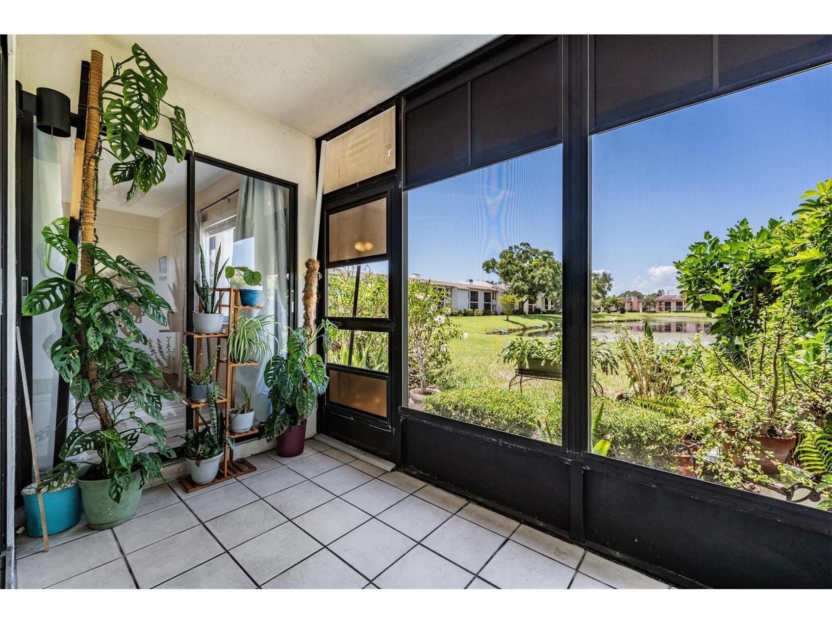 107 Lakeview Place #7 Oldsmar FL 34677 W7885525 image10