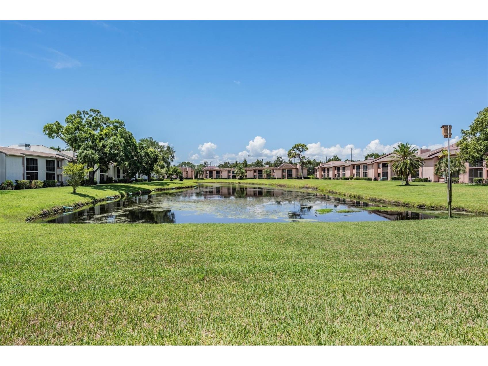 107 Lakeview Place #7 Oldsmar FL 34677 W7885525 image11