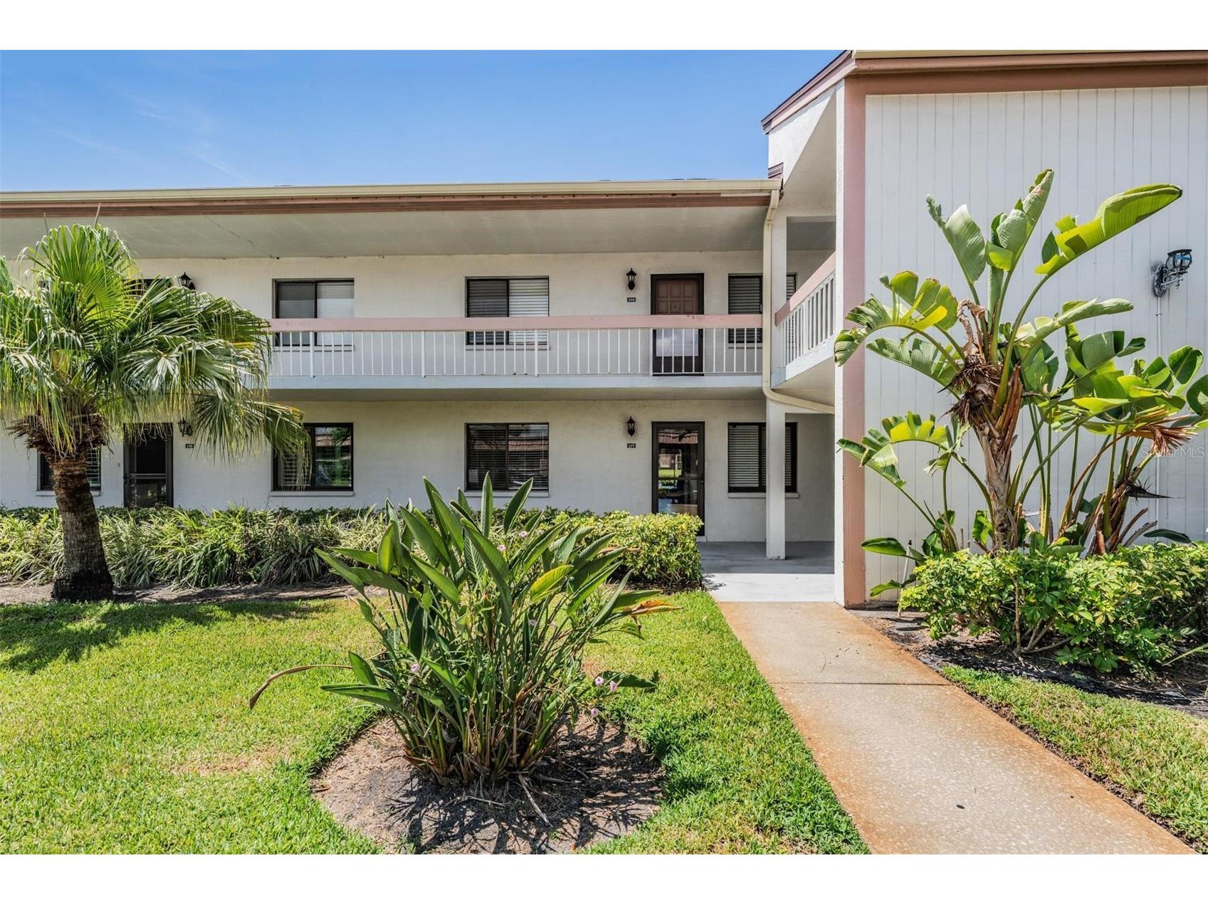 107 Lakeview Place #7 Oldsmar FL 34677 W7885525 image3