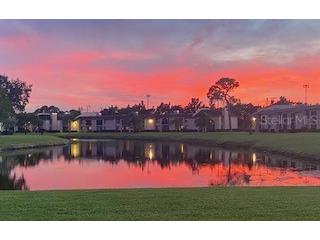 107 Lakeview Place #7 Oldsmar FL 34677 W7885525 image30
