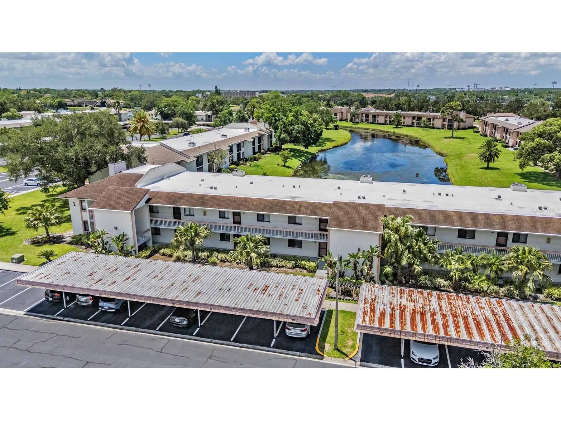 107 Lakeview Place #7 Oldsmar FL 34677 W7885525 image4