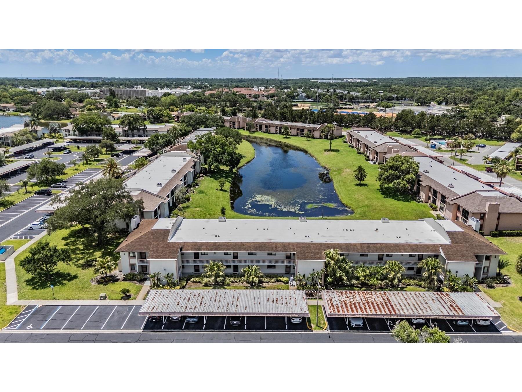 107 Lakeview Place #7 Oldsmar FL 34677 W7885525 image5