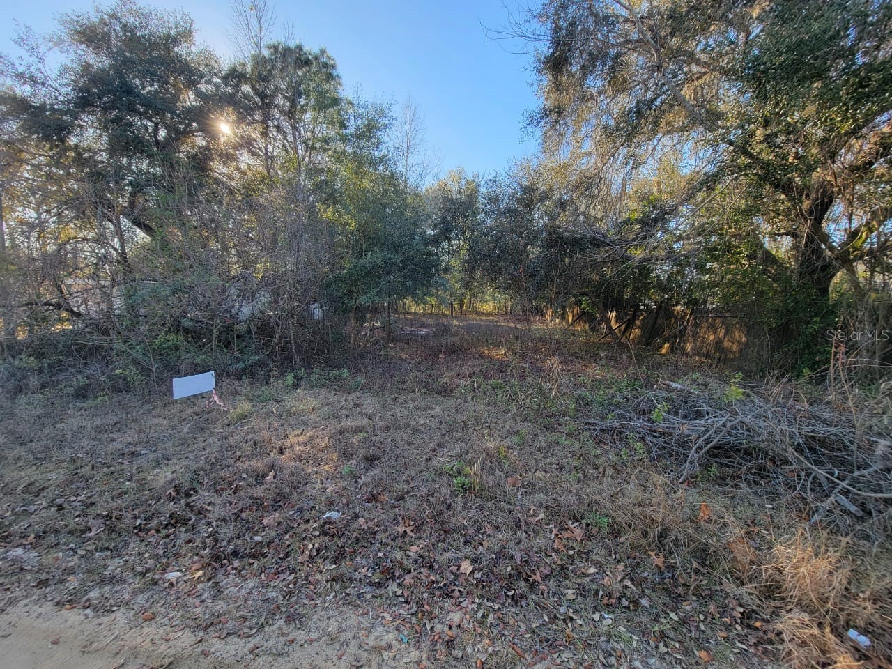 107 Lakeview Way Interlachen FL 32148 O6375183 image1