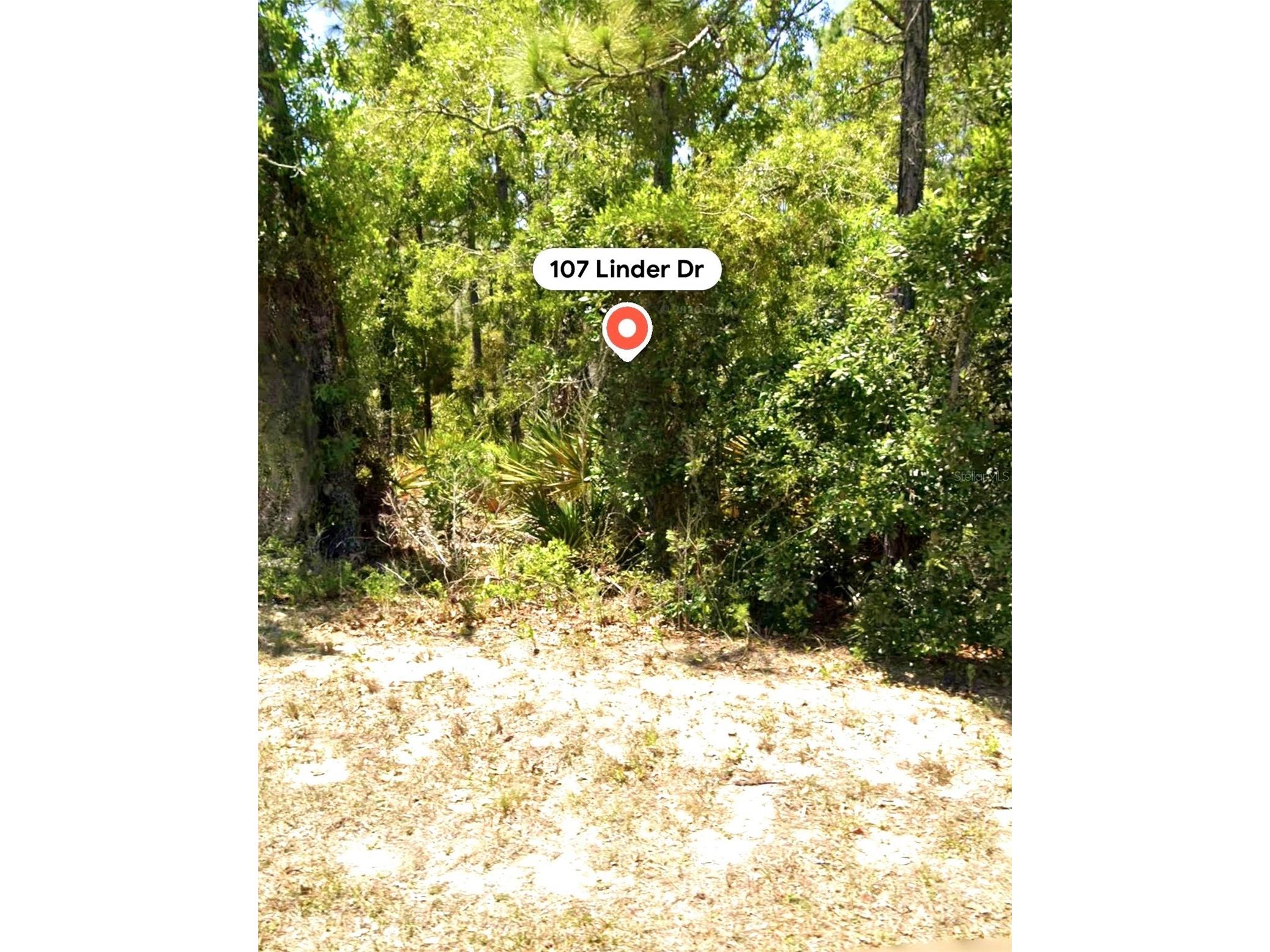 107 Linder Drive Homosassa FL 34446 W7887948 image2