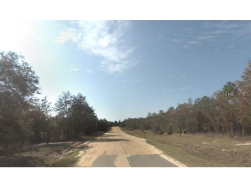 107 Long Lake Way Hawthorne FL 32640 TB8415887 image1