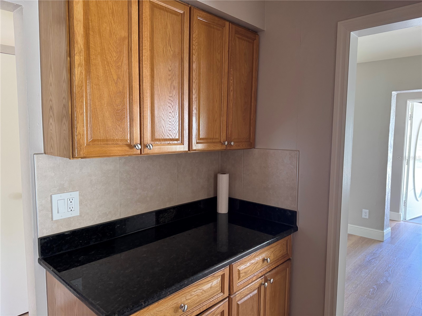 107 N Galena Avenue Minneola FL 34715 G5112973 image7