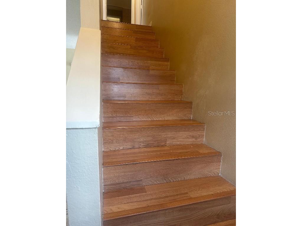 107 Nicholson Drive Davenport FL 33837 L4953977 image3