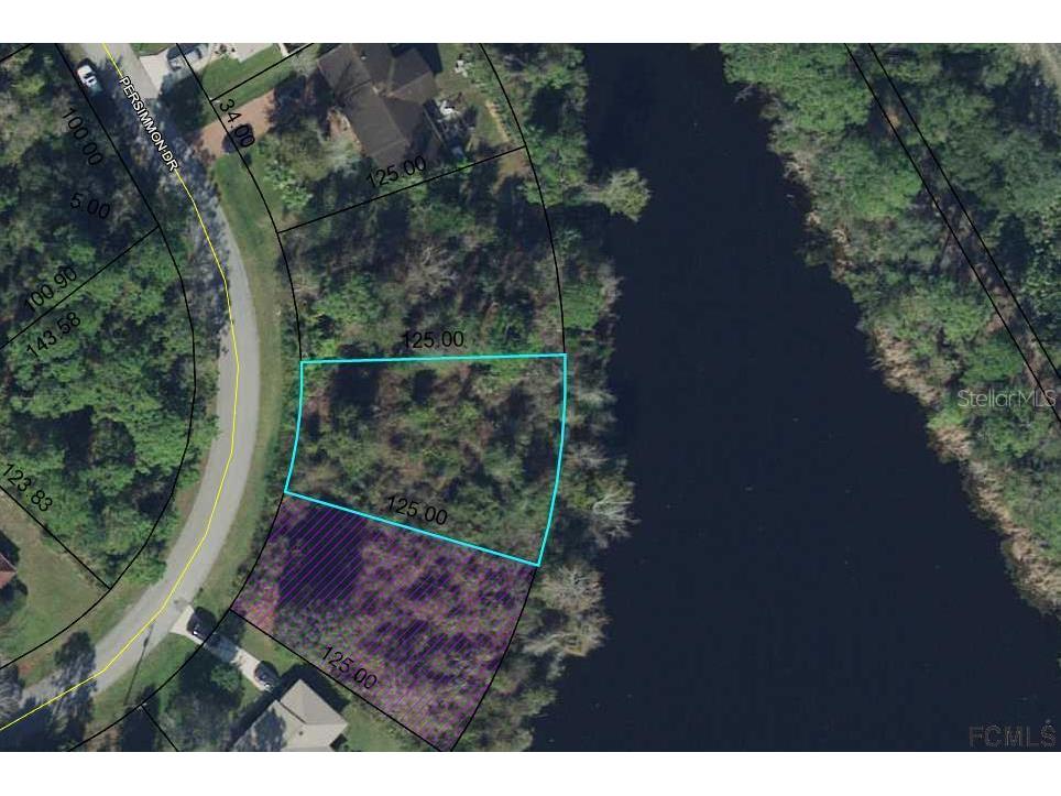 107 Persimmon Drive Palm Coast FL 32164 FC268375 image2