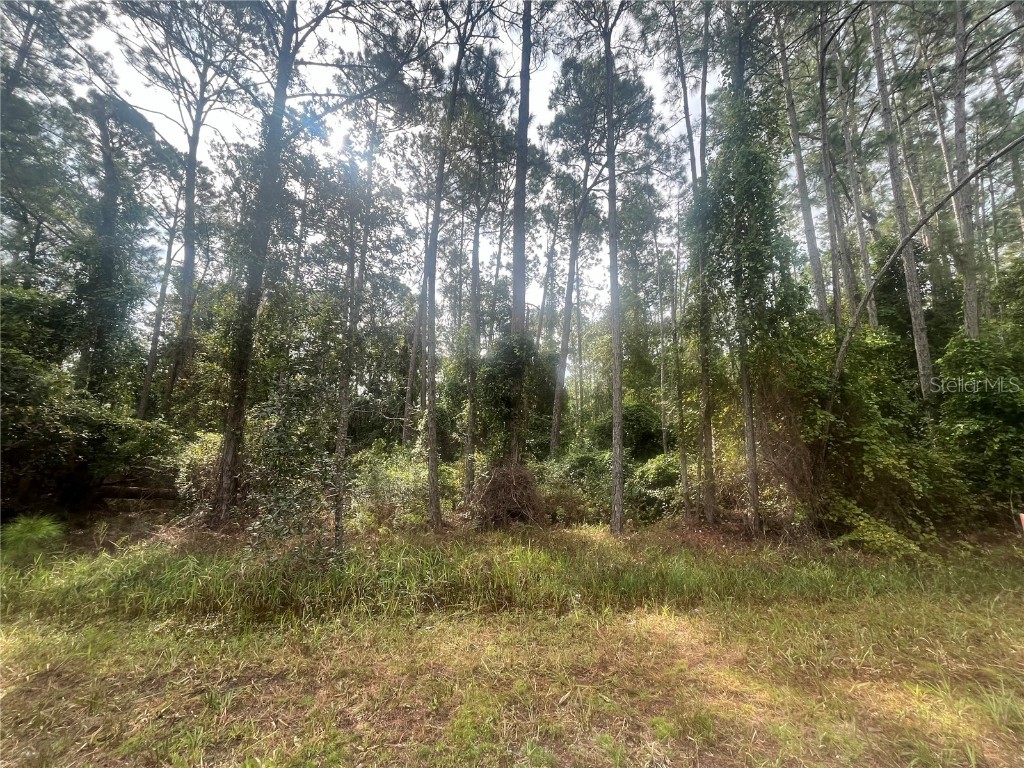 107 Pine Avenue Georgetown FL 32139 OK225493 image1