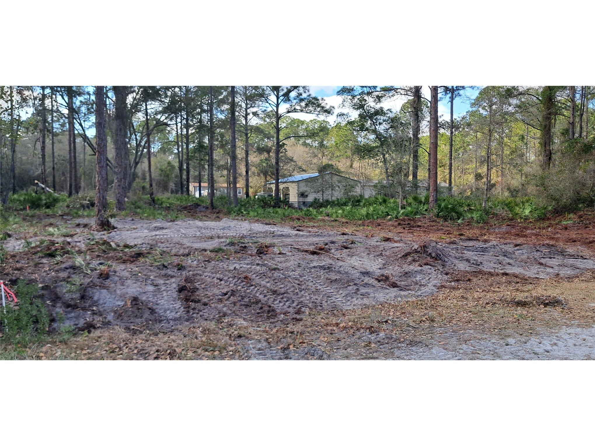 107 Pine Avenue Georgetown FL 32139 OK225493 image6