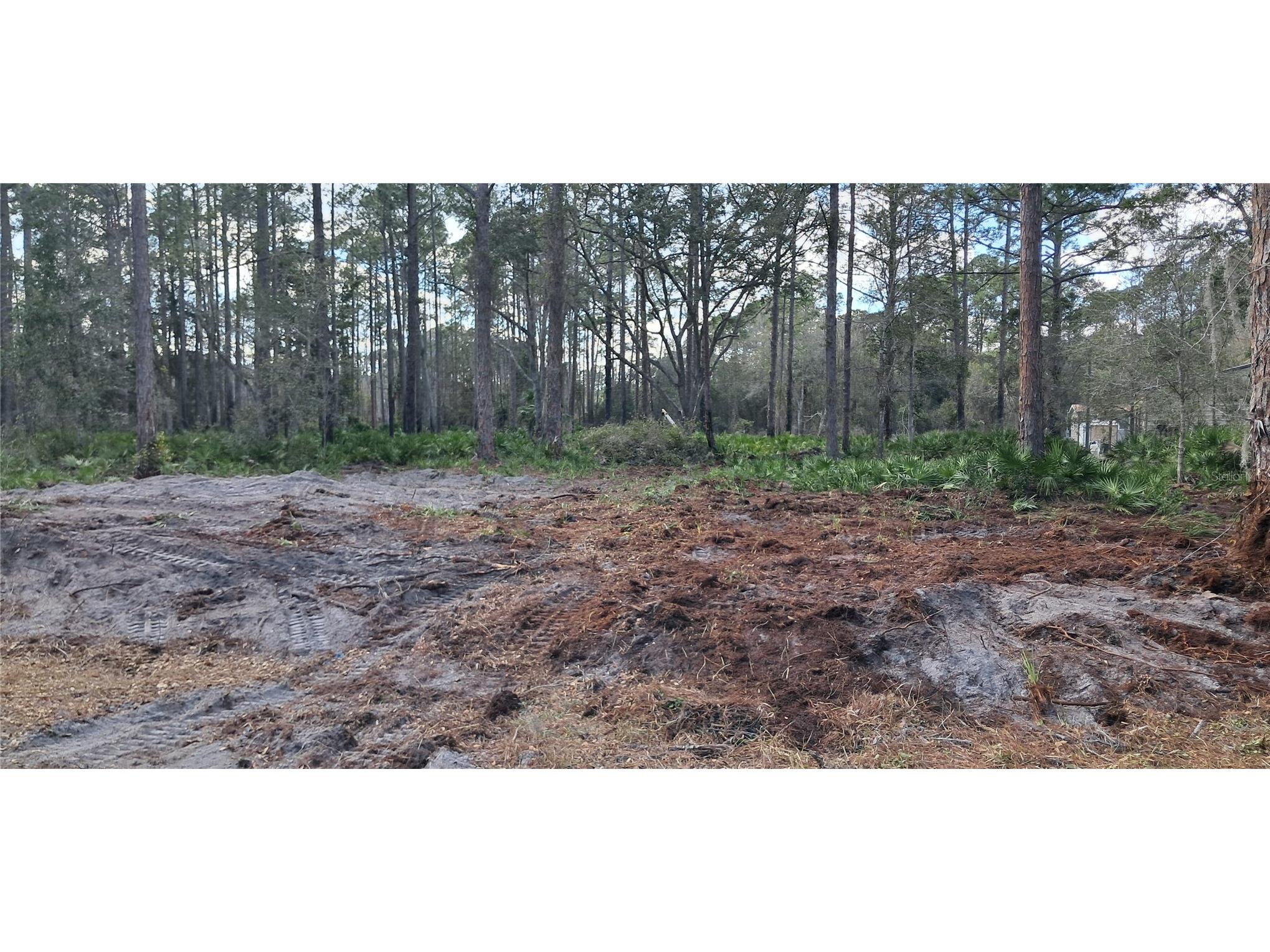 107 Pine Avenue Georgetown FL 32139 OK225493 image7