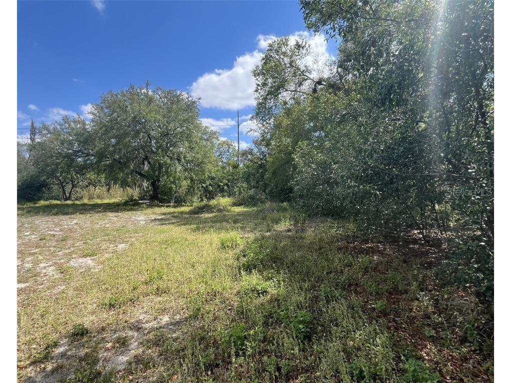 107 Pine Street Dundee FL 33838 TB8361768 image1