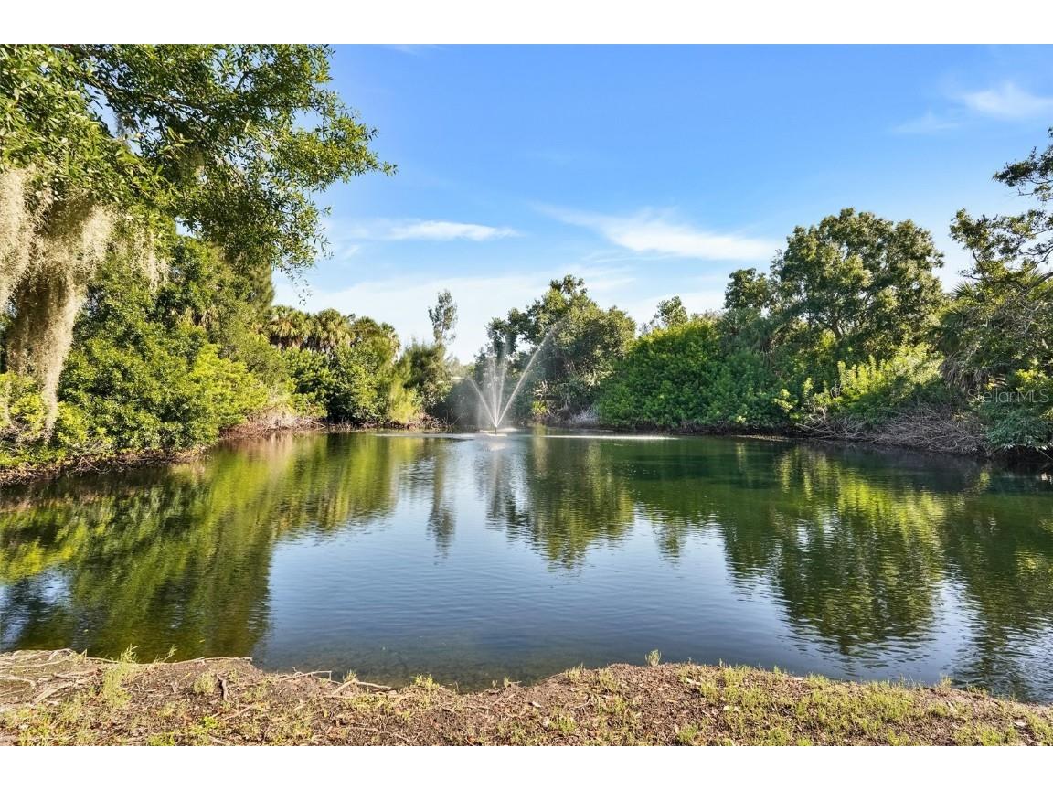 107 Pinehurst Drive #107 Bradenton FL 34210 TB8438218 image26