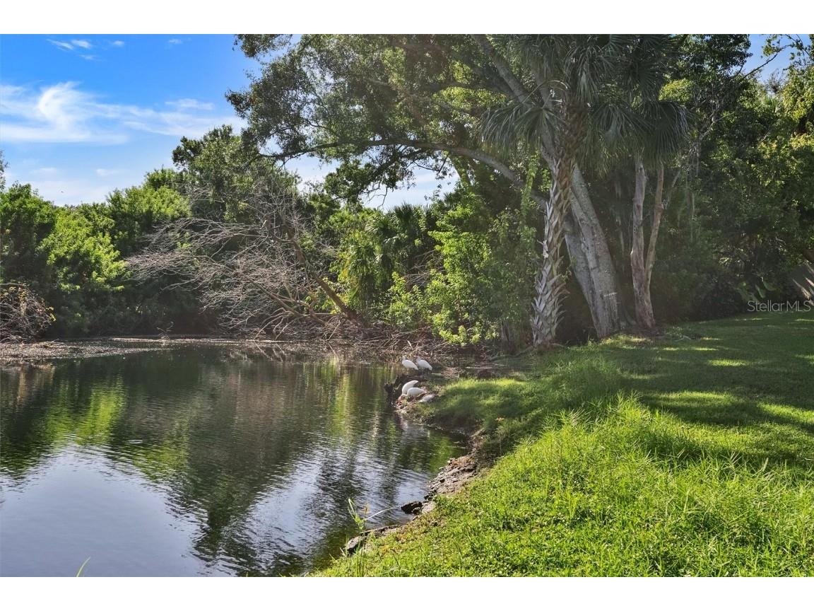 107 Pinehurst Drive #107 Bradenton FL 34210 TB8438218 image27