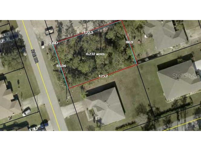 107 Rae Drive Palm Coast FL 32164 O6343248 image4