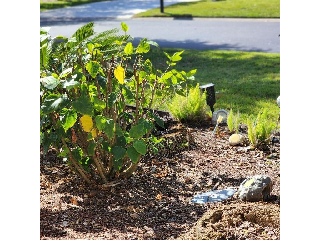 107 Raintree Circle Palm Coast FL 32164 FC313538 image31