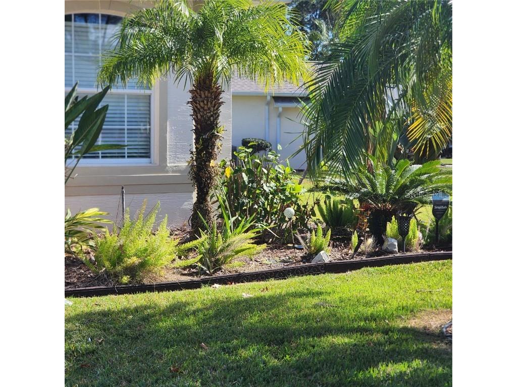 107 Raintree Circle Palm Coast FL 32164 FC313538 image35