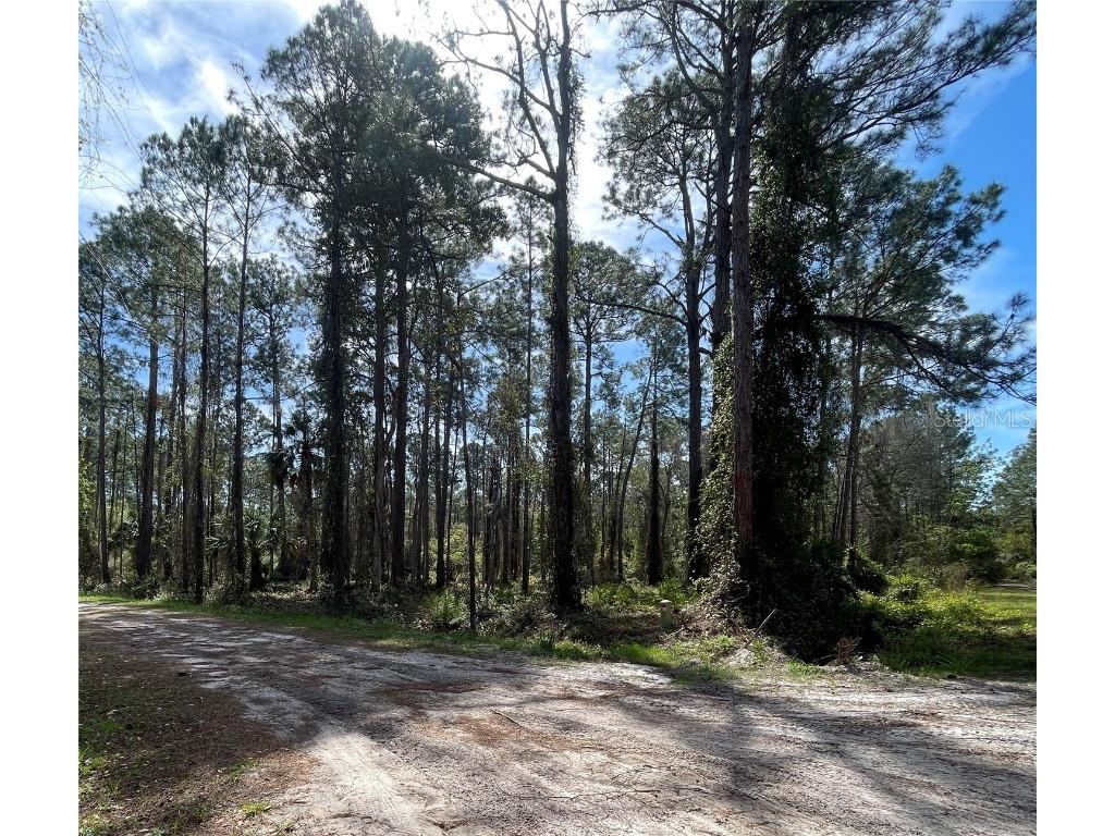 107 Rosewood Street Georgetown FL 32139 FC308372 image1